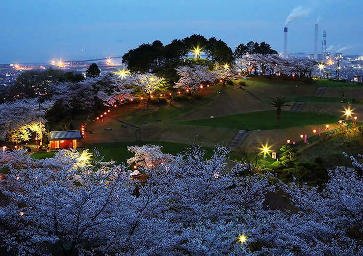 【三島公園桜まつり2025 愛媛/四国中央市】 瀬戸内海の絶景と一緒に楽しむ春の賑わい