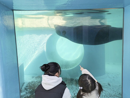 とべ動物園0-0