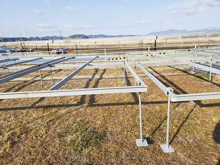 この時期限定！ 白石浩也さんの 『新芽の生わかめ』 がすごい！ 【愛媛/今治市】