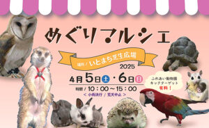 【めぐりマルシェ 愛媛/西条市】 いとまちで心踊る春のワクワク体験を楽しもう！