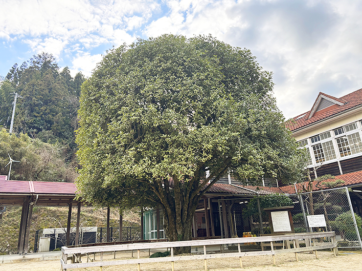 わくわくモニターツアーで心温まる1日！ 新鮮ないちご、手作りピザ、校舎見学の旅♪ 【愛媛/伊予市】