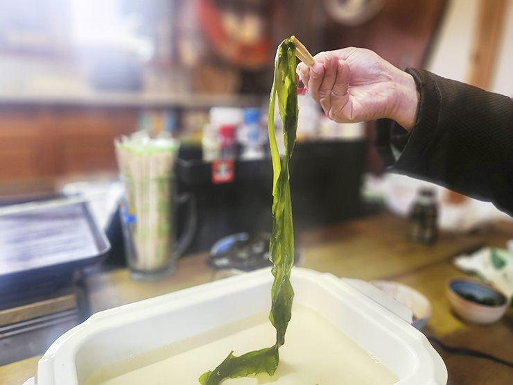 この時期限定！ 白石浩也さんの 『新芽の生わかめ』 がすごい！ 【愛媛/今治市】