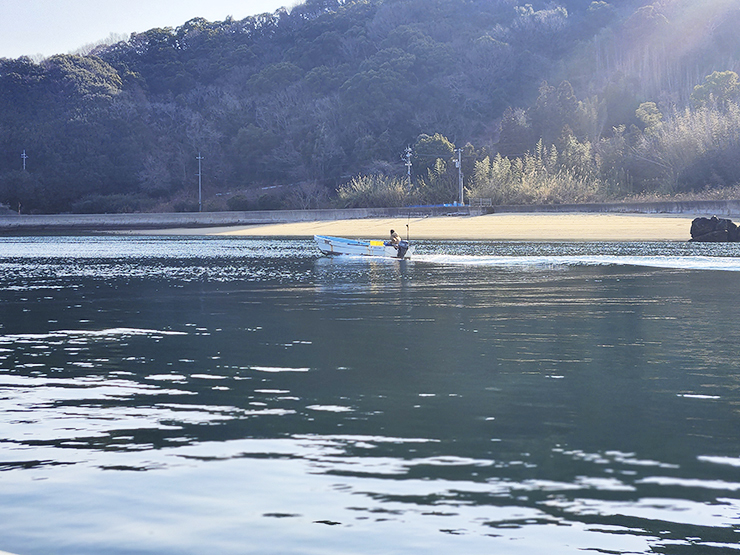 この時期限定！ 白石浩也さんの 『新芽の生わかめ』 がすごい！ 【愛媛/今治市】