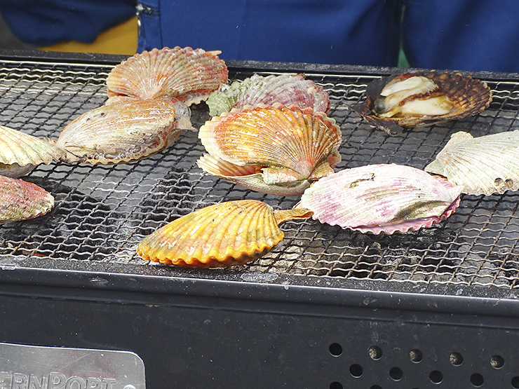 【愛南町かつお祭り 愛媛/愛南町】 愛南びやびやかつおほか海の幸＆山の幸グルメを食べ尽くせ！