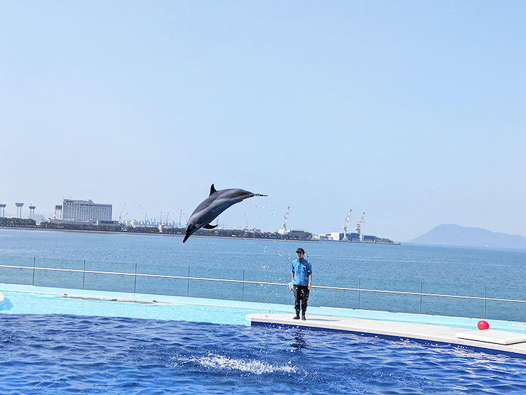 GWのお出かけにもおすすめ!! 四国最大級の四国水族館で子どもも大人も大興奮。 【香川/綾歌郡】
