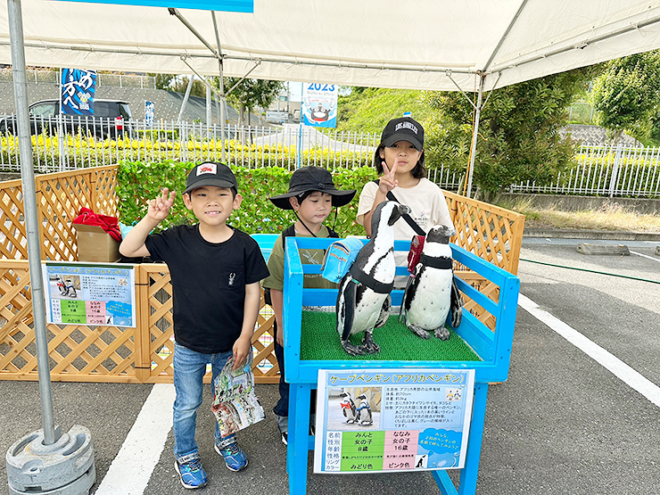 バリシップ2025 西日本最大の国際海事展がやってきた！【愛媛/今治市】