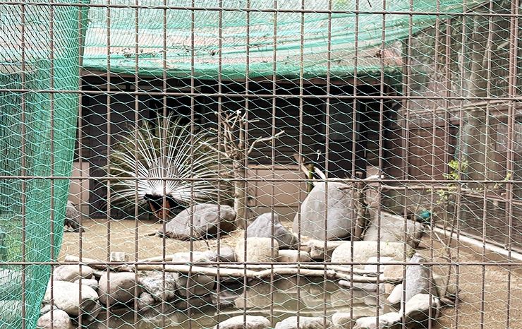 本物がい～～～～～～っぱい！ 愛媛県立とべ動物園【愛媛/松山市】