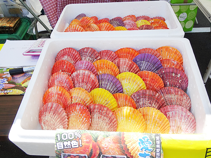 【愛南町かつお祭り 愛媛/愛南町】 愛南びやびやかつおほか海の幸＆山の幸グルメを食べ尽くせ！