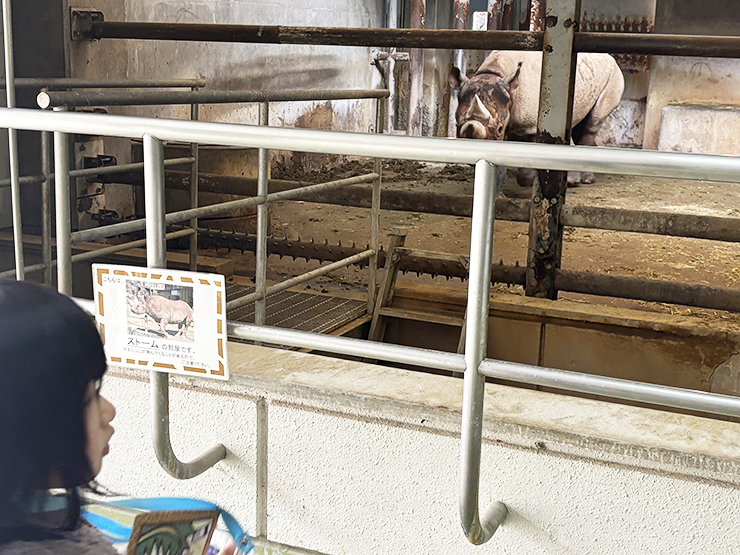 本物がい～～～～～～っぱい！ 愛媛県立とべ動物園【愛媛/松山市】