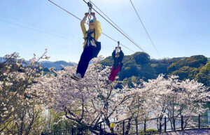 【とべもりジップラインフォトコンテスト 愛媛/松山市】 SNSで魅力を発信！ 豪華賞品を狙おう！
