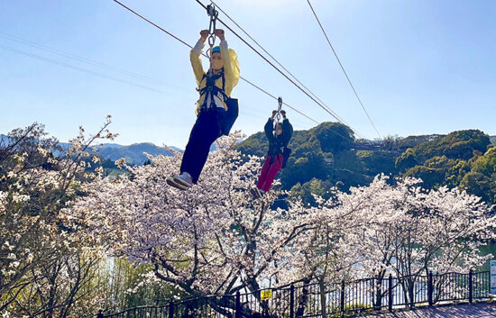 とべもりジップラインフォトコンテスト