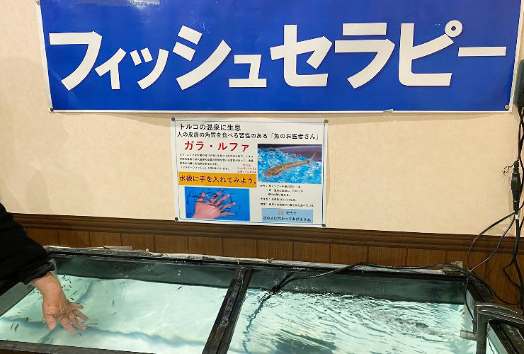 小さい子どもも楽しい、小さな水族館を大満喫してきました！ 【愛媛/新居浜市】