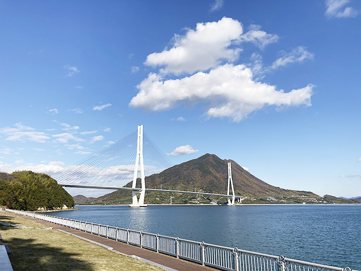 バリシップ2025 西日本最大の国際海事展がやってきた！【愛媛/今治市】