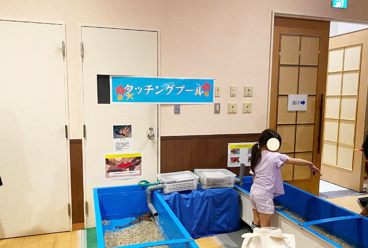 小さい子どもも楽しい、小さな水族館を大満喫してきました！ 【愛媛/新居浜市】