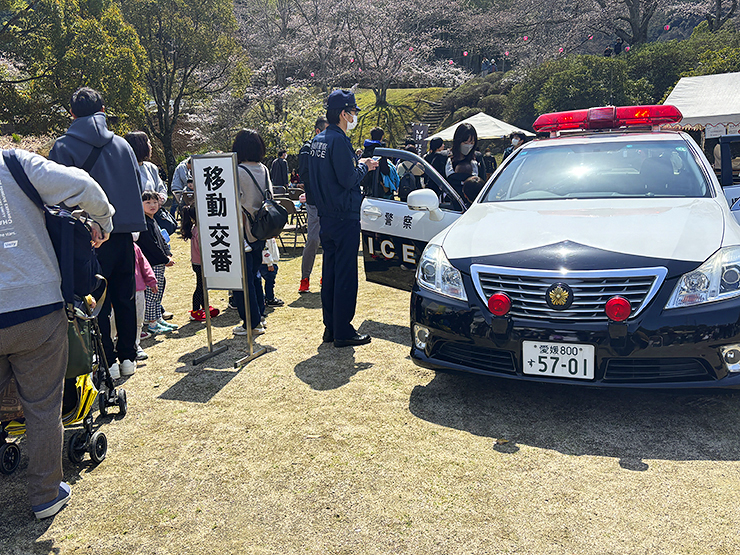 宇和町の桜スポット！ 宇和運動公園桜まつり 【愛媛/西予市】