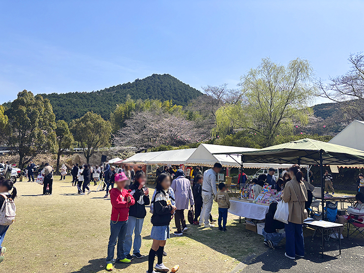 宇和町の桜スポット！ 宇和運動公園桜まつり 【愛媛/西予市】