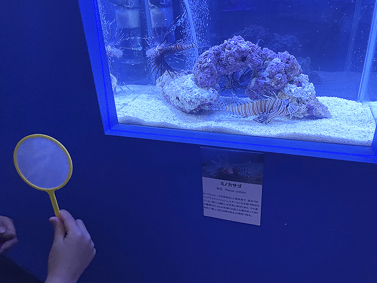 遊べる水族館 in イオンモール新居浜でワクワク体験 【愛媛/新居浜市】