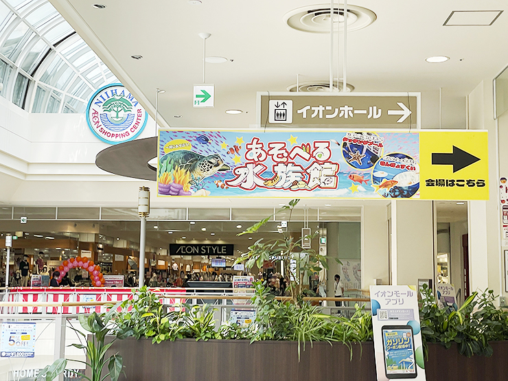 遊べる水族館 in イオンモール新居浜でワクワク体験 【愛媛/新居浜市】
