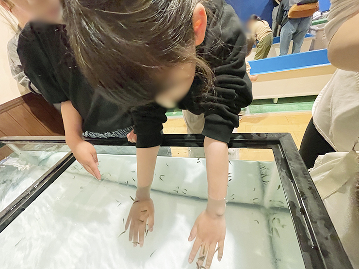 遊べる水族館 in イオンモール新居浜でワクワク体験 【愛媛/新居浜市】