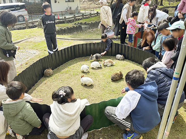 宇和町の桜スポット！ 宇和運動公園桜まつり 【愛媛/西予市】
