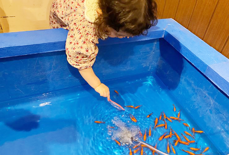 小さい子どもも楽しい、小さな水族館を大満喫してきました！ 【愛媛/新居浜市】