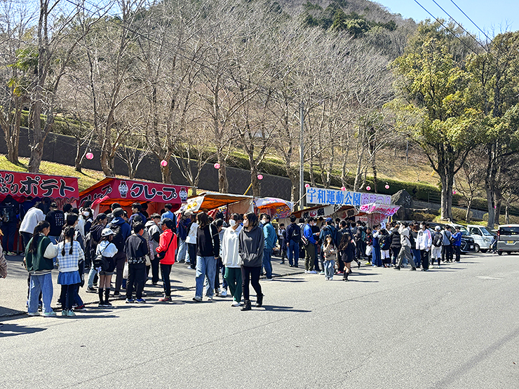 宇和町の桜スポット！ 宇和運動公園桜まつり 【愛媛/西予市】