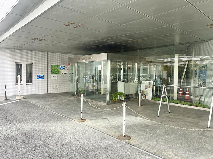 タオル美術館で開催された「冬のお茶会」に初めて行ってみたよー！ 【愛媛/今治市】