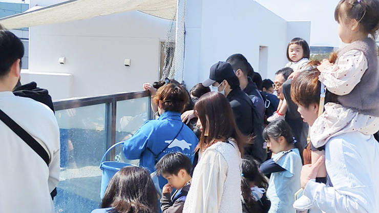 GWのお出かけにもおすすめ!! 四国最大級の四国水族館で子どもも大人も大興奮。 【香川/綾歌郡】