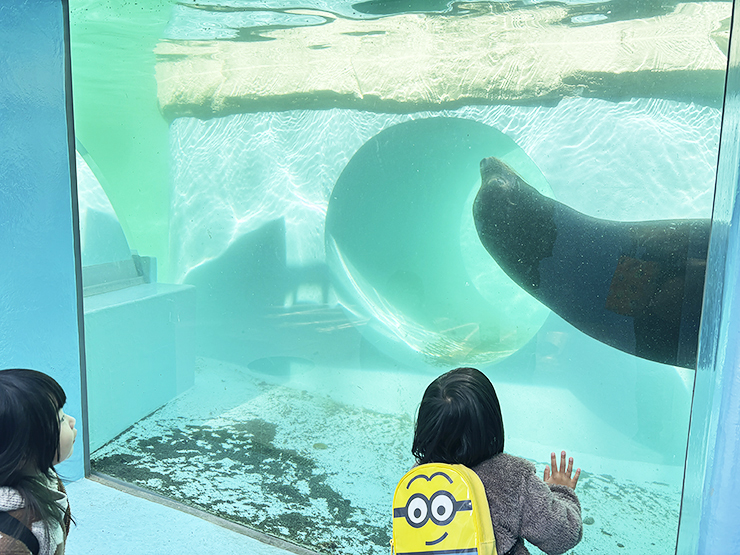 本物がい～～～～～～っぱい！ 愛媛県立とべ動物園【愛媛/松山市】