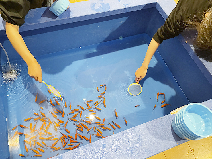 遊べる水族館 in イオンモール新居浜でワクワク体験 【愛媛/新居浜市】