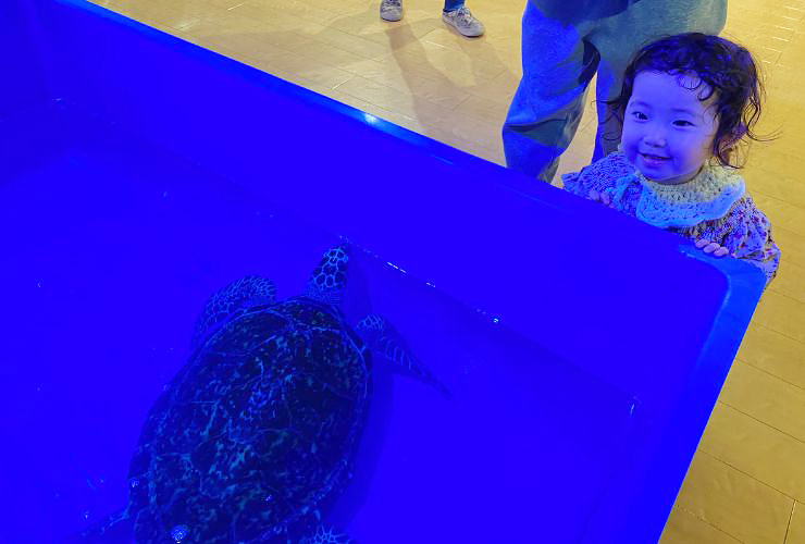 小さい子どもも楽しい、小さな水族館を大満喫してきました！ 【愛媛/新居浜市】