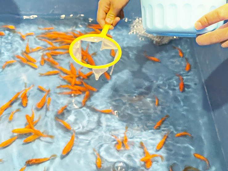 遊べる水族館 in イオンモール新居浜でワクワク体験 【愛媛/新居浜市】
