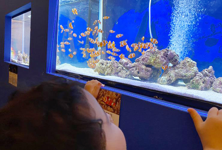 小さい子どもも楽しい、小さな水族館を大満喫してきました！ 【愛媛/新居浜市】