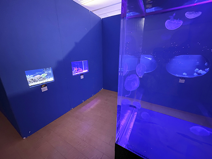 遊べる水族館 in イオンモール新居浜でワクワク体験 【愛媛/新居浜市】