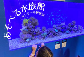 小さい子どもも楽しい、小さな水族館を大満喫してきました！ 【愛媛/新居浜市】