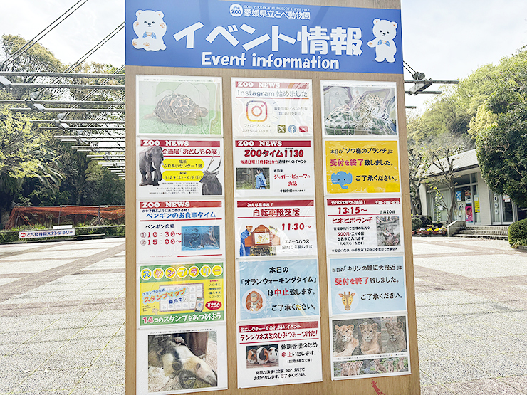 本物がい～～～～～～っぱい！ 愛媛県立とべ動物園【愛媛/松山市】