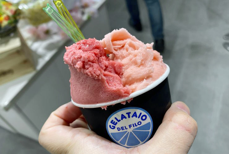 楽しい催しいっぱいの「めぐりマルシェ」を満喫してきました♪ 【愛媛/西条市】