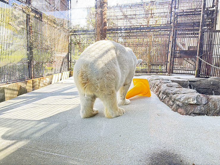 本物がい～～～～～～っぱい！ 愛媛県立とべ動物園【愛媛/松山市】