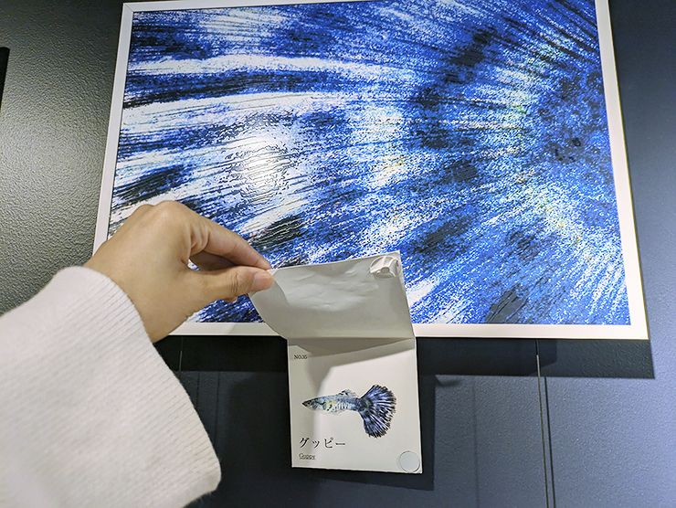 GWのお出かけにもおすすめ!! 四国最大級の四国水族館で子どもも大人も大興奮。 【香川/綾歌郡】