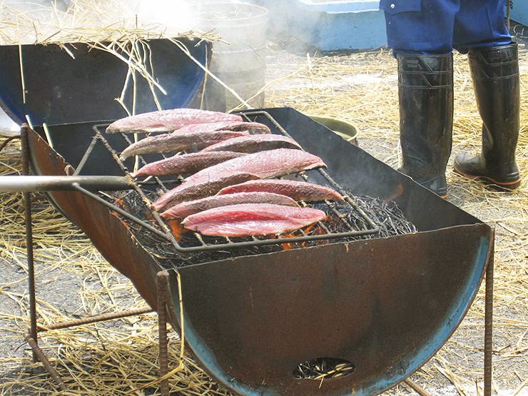 【愛南町かつお祭り 愛媛/愛南町】 愛南びやびやかつおほか海の幸＆山の幸グルメを食べ尽くせ！