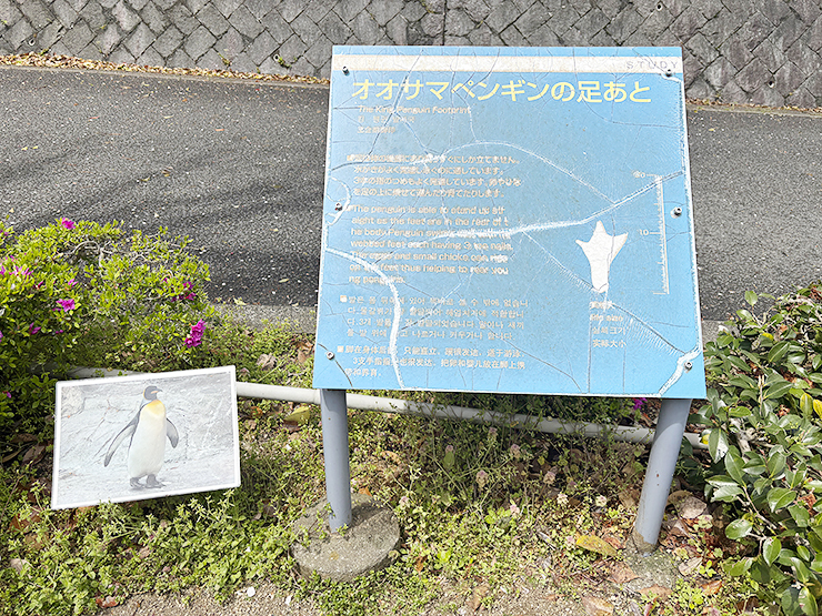本物がい～～～～～～っぱい！ 愛媛県立とべ動物園【愛媛/松山市】