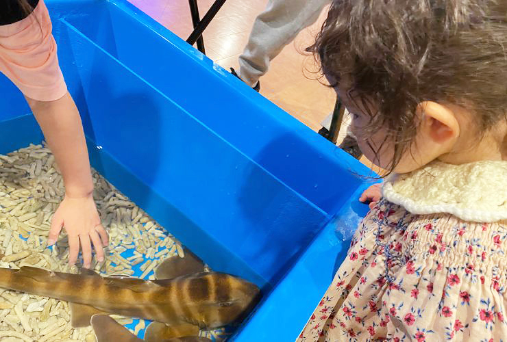 小さい子どもも楽しい、小さな水族館を大満喫してきました！ 【愛媛/新居浜市】