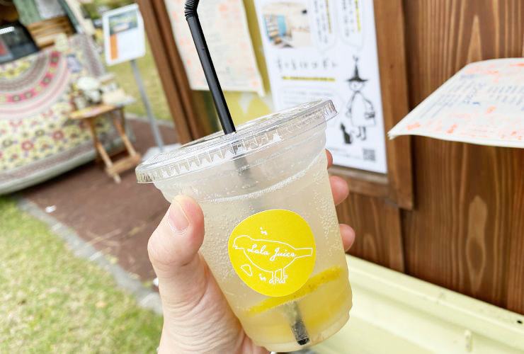 春の陽気の中、黒島海浜公園でハンモックに揺られてきました！ 【愛媛/新居浜市】