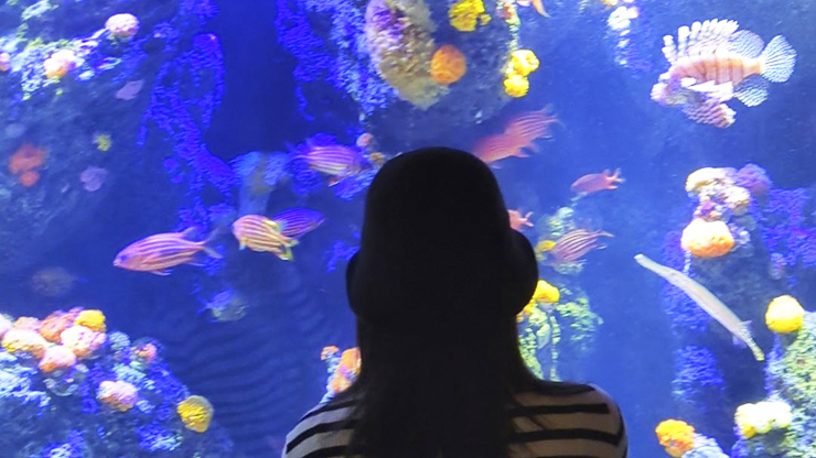 GWのお出かけにもおすすめ!! 四国最大級の四国水族館で子どもも大人も大興奮。 【香川/綾歌郡】