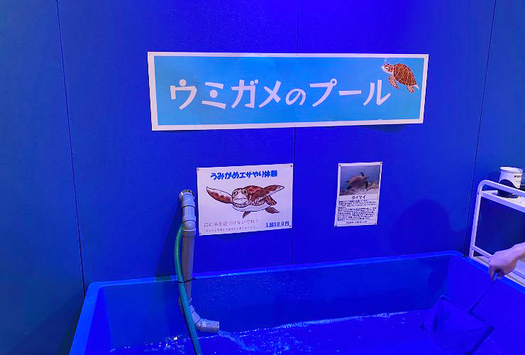 小さい子どもも楽しい、小さな水族館を大満喫してきました！ 【愛媛/新居浜市】