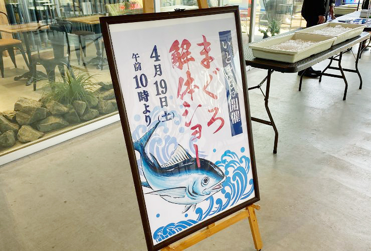 いとまちで、まぐろの解体を見てきました！ 【愛媛/西条市】