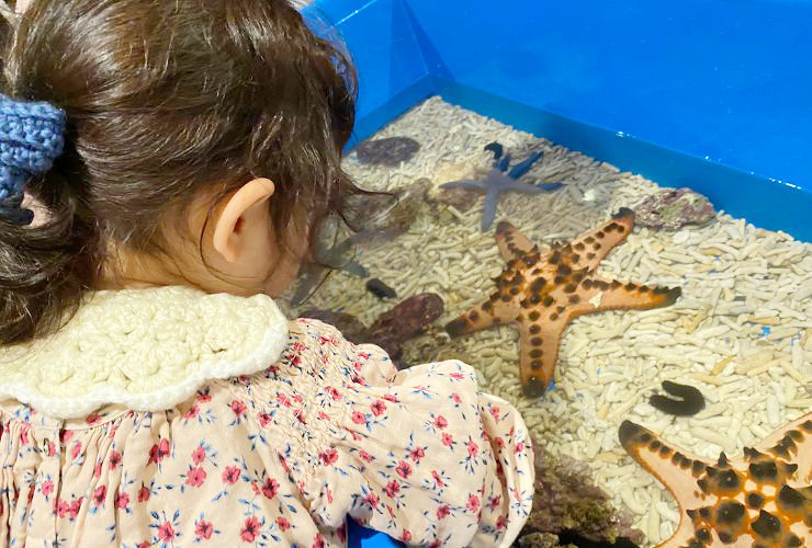 小さい子どもも楽しい、小さな水族館を大満喫してきました！ 【愛媛/新居浜市】