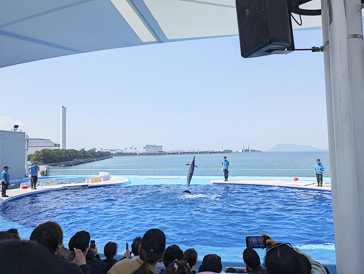 GWのお出かけにもおすすめ!! 四国最大級の四国水族館で子どもも大人も大興奮。 【香川/綾歌郡】