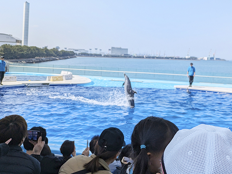 GWのお出かけにもおすすめ!! 四国最大級の四国水族館で子どもも大人も大興奮。 【香川/綾歌郡】