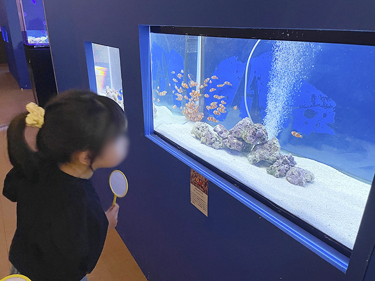 遊べる水族館 in イオンモール新居浜でワクワク体験 【愛媛/新居浜市】